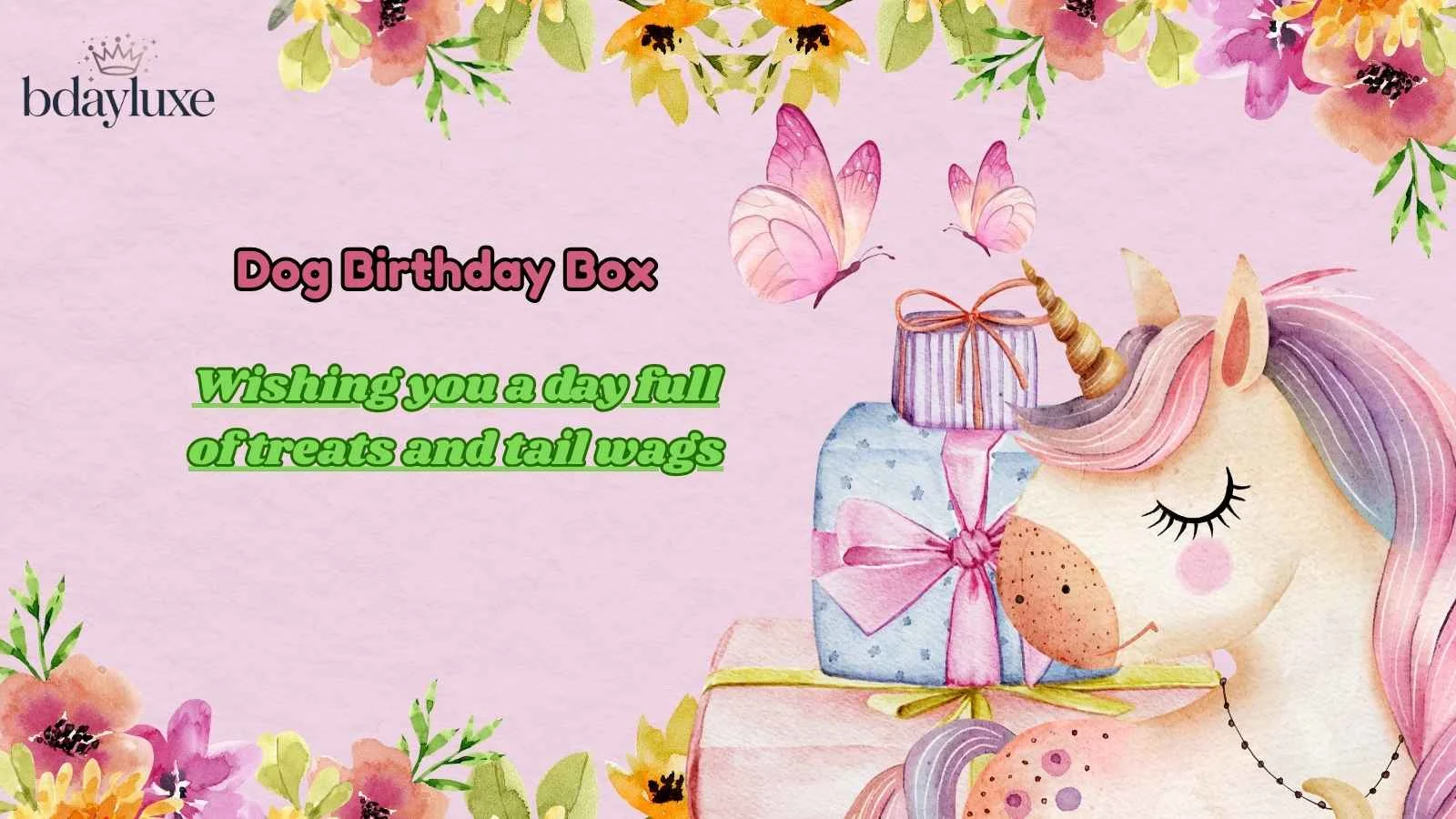 Dog Birthday Box