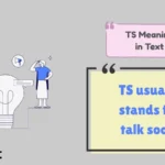TS Meaning in Text